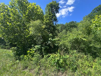 /international/us/1020-tomahawk-rd-jamestown-tn-110108552587/