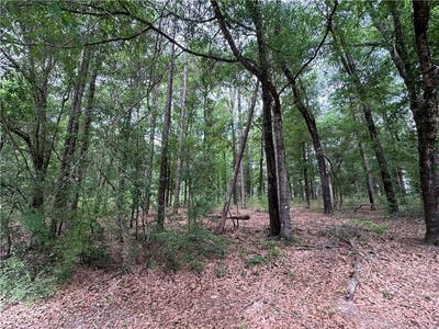 /international/us/7515-lambeth-drive-saraland-al-110108387665/