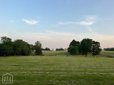 /international/us/lot-11-rolling-meadows-brookland-ar-110120149484/