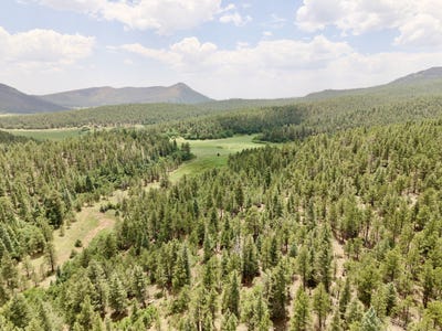 /international/us/506-county-road-c009-ocate-nm-110100452934/