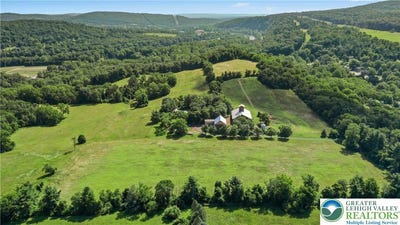 /international/us/663-kintner-road-durham-twp-pa-110101050813/