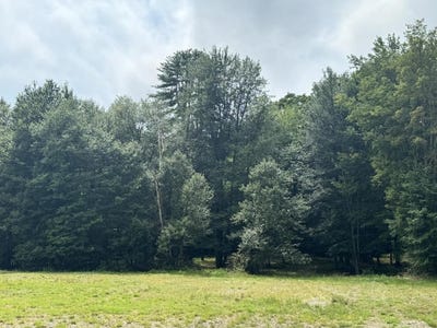 /international/us/stow-drive-lot-012-a001-021-2-33-acres-chesterfield-nh-110079629714/