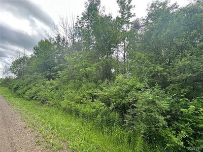 /international/us/townline-road-angelica-ny-110108739771/