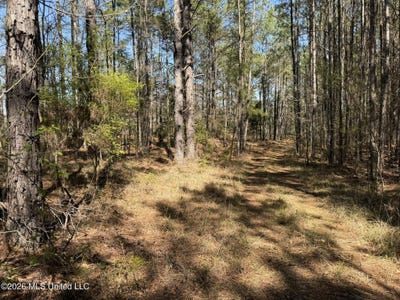 /international/us/county-road-4102-goodman-ms-110107174367/