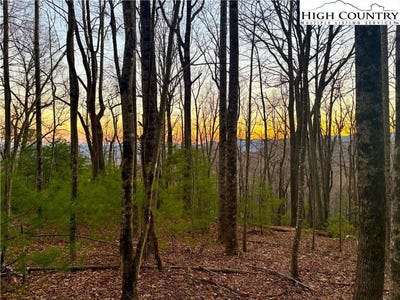 /international/us/tbd-lot-24-ben-miller-road-deep-gap-nc-110103250748/