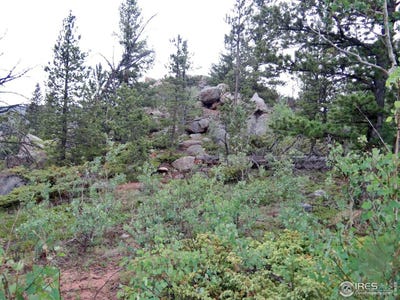 /international/us/277-huron-rd-red-feather-lakes-co-110098447360/