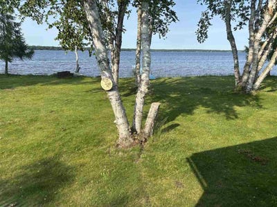 /international/us/9218-pachy-carp-lake-mi-110100746659/?lang=en