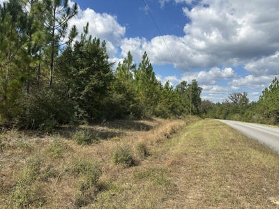 /international/us/parcel-a-new-ebenezer-road-laurel-hill-fl-110102985410/