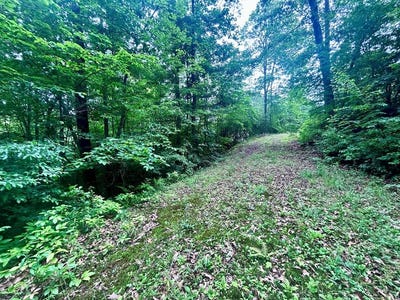 /international/us/antler-ridge-rd-lot-5-franklin-nc-110108662339/