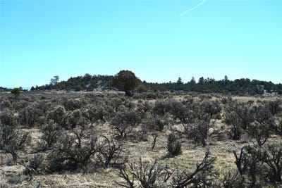 /international/us/pajarito-dr-tierra-amarilla-nm-110106916697/