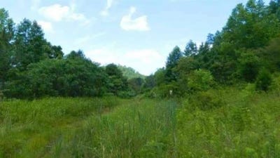 /international/us/0-laurel-creek-rd-db-344-dp-515-louisa-ky-110100567990/