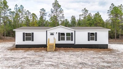 /international/us/6622-s-121-highway-blackshear-ga-110104416653/