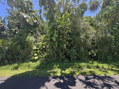 /international/us/palani-st-pahoa-hi-110101118996/?lang=zh-tw