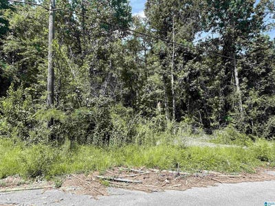 /international/us/wilson-glen-drive-lot-19-wilsonville-al-110079004652/