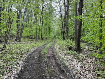 /international/us/jordan-hill-road-clarksville-ny-110099668850/?lang=zh-tw