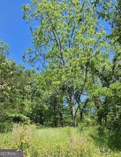 /international/us/maple-circle-greensboro-ga-110103682554/