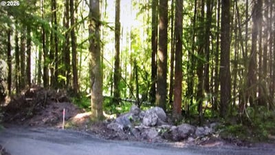 /international/us/e-john-lake-rd-rhododendron-or-110108075232/