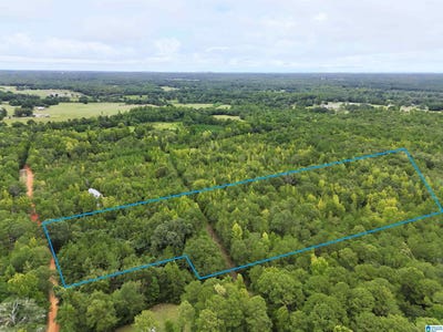 /international/us/scroggins-drive-lot-0-tallassee-al-110110143256/