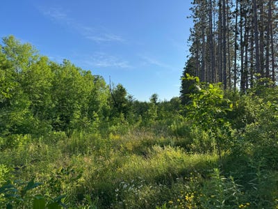 /international/us/tbd-2-n-riverside-road-moose-lake-mn-110119349763/