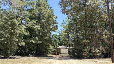 /international/us/391-deer-country-chester-tx-110109667823/