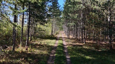 /international/us/mann-road-spooner-wi-110107548326/