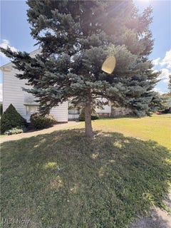 /international/us/5139-e-114th-street-garfield-heights-oh-110102264557/