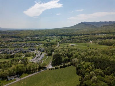 /international/us/0000-resort-dr-mcgaheysville-va-110074036877/