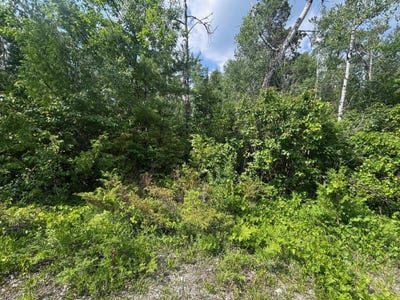 /international/us/nhn-cedar-terrace-presque-isle-mi-110100916060/