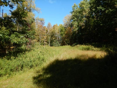 /international/us/384-phillips-road-windsor-ny-110120457867/