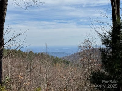 /international/us/l5-windy-gap-lane-sapphire-nc-110098401386/