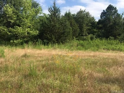 /international/us/6350-possum-hollow-road-booneville-ar-110100347446/