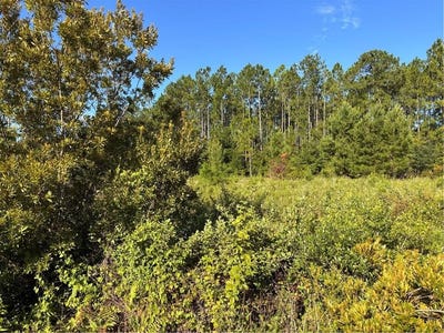 /international/us/0-horseshoe-cove-waverly-ga-110101258514/?lang=zh-tw
