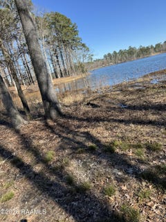 /international/us/ramsey-rd-lot-12-chatham-la-110105850107/
