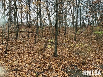 /international/us/yankee-lane-chillicothe-il-110103597253/