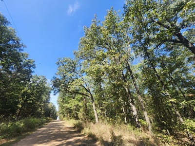 /international/us/13239-county-road-290-flemington-mo-110120129621/