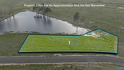 /international/us/garrett-street-lot-1-rainsville-al-110107169464/