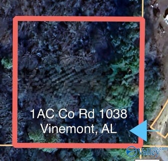/international/us/1ac-county-road-1038-vinemont-al-110101488689/