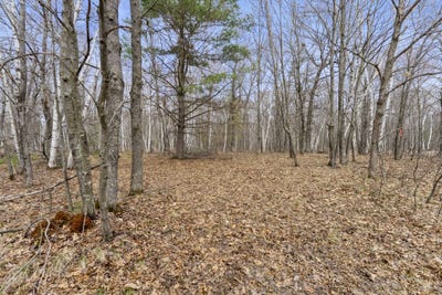 /international/us/7108-oakwood-parkway-webster-wi-110107350723/