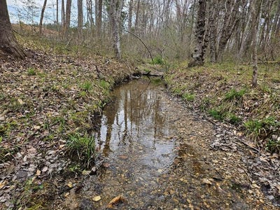 /international/us/56-s-james-river-rd-buckingham-va-110106955259/