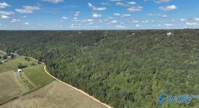 /international/us/lot-3-county-road-223-collinsville-al-110098531818/?lang=zh-tw