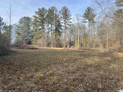 /international/us/0-camp-creek-road-cropwell-al-110097103127/?lang=zh-tw
