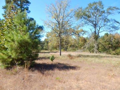 /international/us/tbd-3-5-acres-hwy-155-gilmer-tx-110108202332/