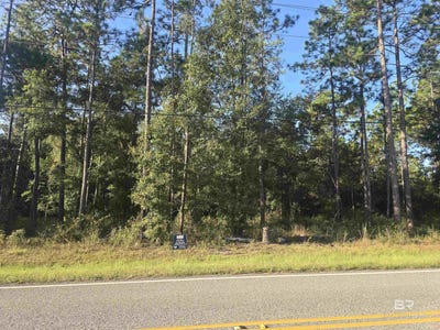 /international/us/12164-bromley-road-lot-7-stapleton-al-110102650339/