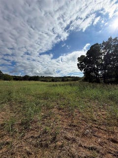/international/us/proctor-mill-road-russellville-ky-110120018298/