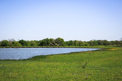 /international/us/84-acres-caney-creek-road-chappell-hill-tx-110097491895/