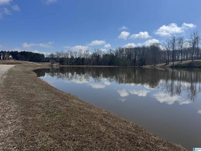 /international/us/mary-drive-lot-7-roanoke-al-110108609941/