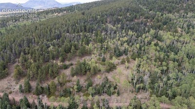 /international/us/henderson-drive-lot-2915-fort-garland-co-110110039462/