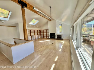 /international/us/216-e-homestead-drive-basalt-co-110104024170/