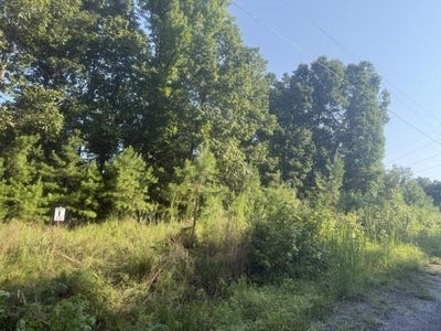 /international/us/tracts-1-4-carroll-hollow-rd-lot-1-2-3-4-waynesboro-md-110120508180/