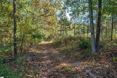 /international/us/735-gwinn-mill-road-pauline-sc-110102979534/